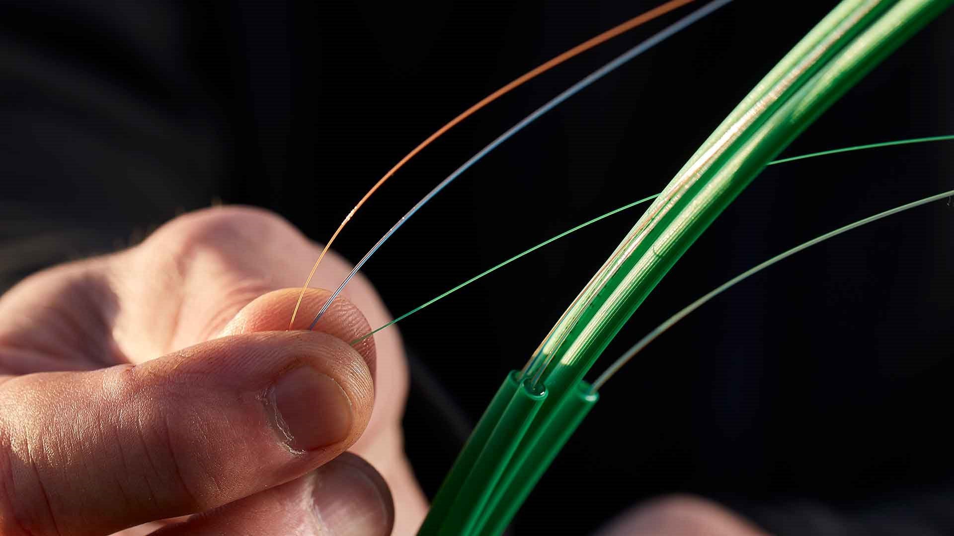 Hånd holder fibernet kabel. Hvad er et lyslederkabel? Bliv klogere på hvordan fibernet virker her.